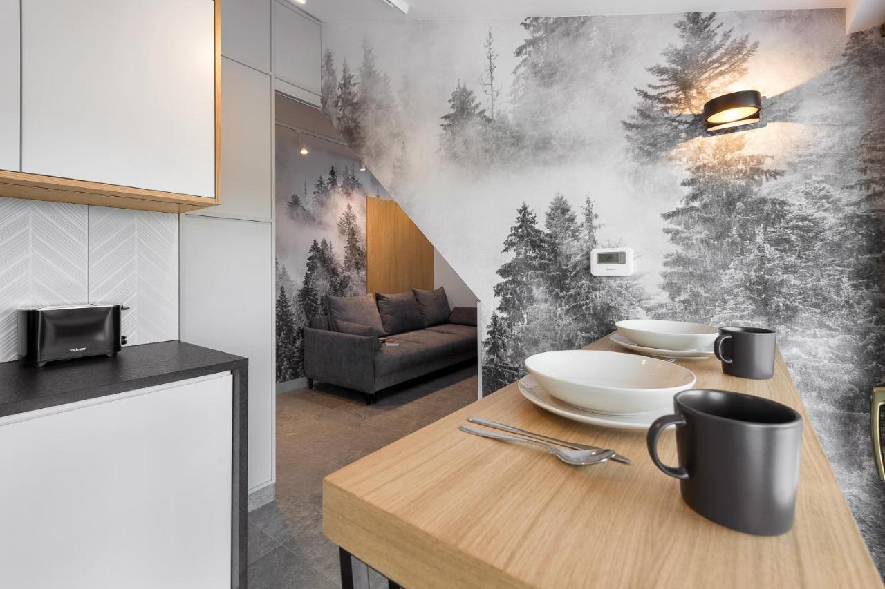 Tatra Apartament Na Jaszczurowce ザコパネ エクステリア 写真