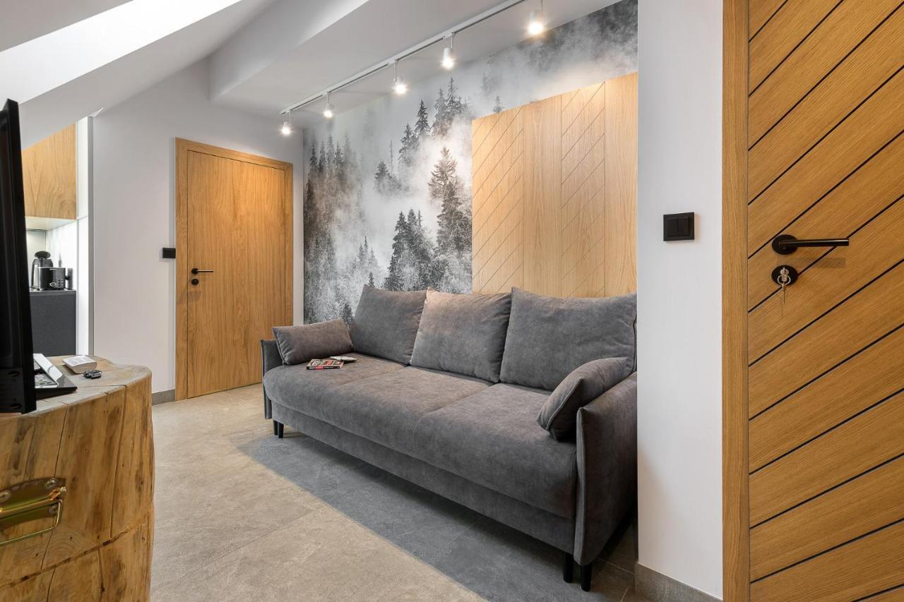 Tatra Apartament Na Jaszczurowce ザコパネ エクステリア 写真
